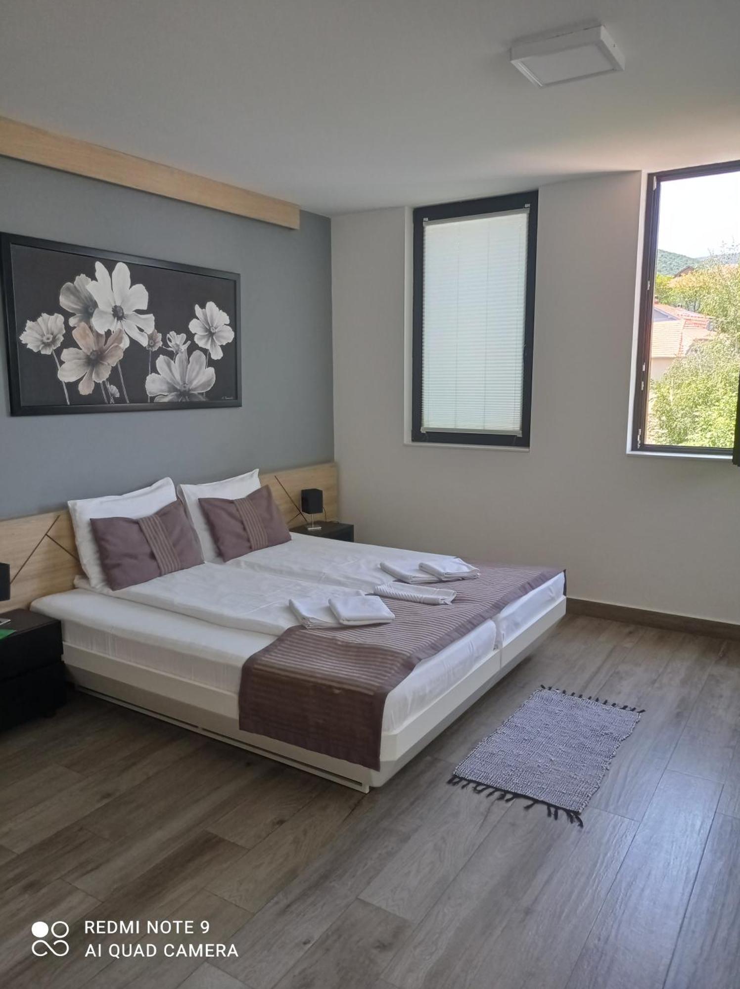 B&B Nataly 2 Soko Banja Ngoại thất bức ảnh